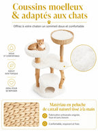 Coussins moelleux de l’arbre à chat bois naturel Nacoria pour le repos du chat