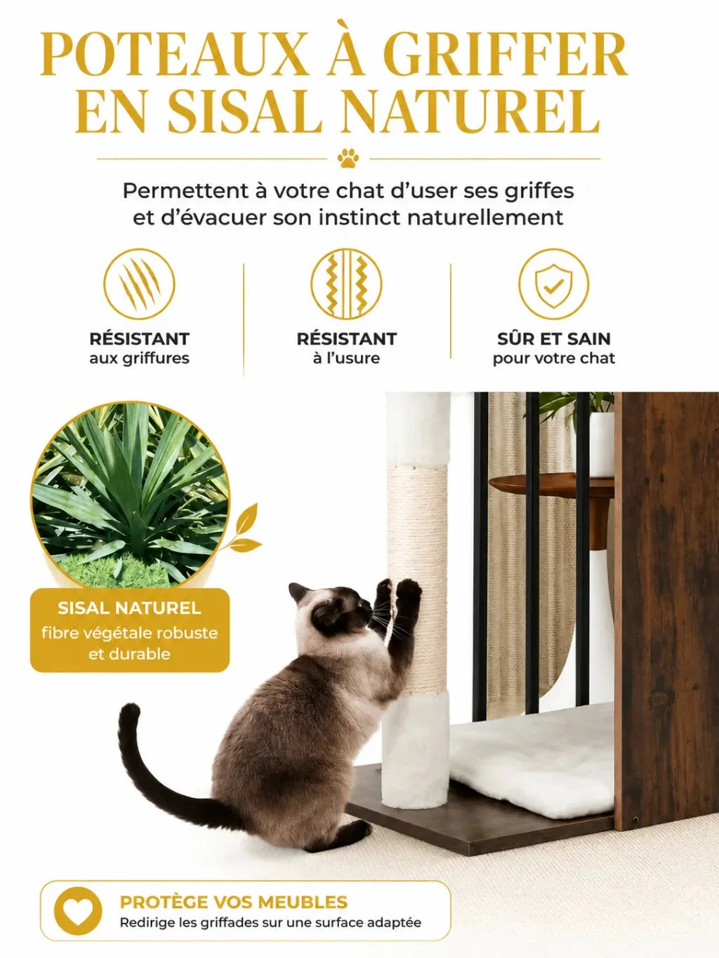 Poteaux à griffer en sisal naturel de l'arbre à chat bois Rustélia