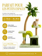 Format compact de l'arbre à chat Lianésia pour appartement