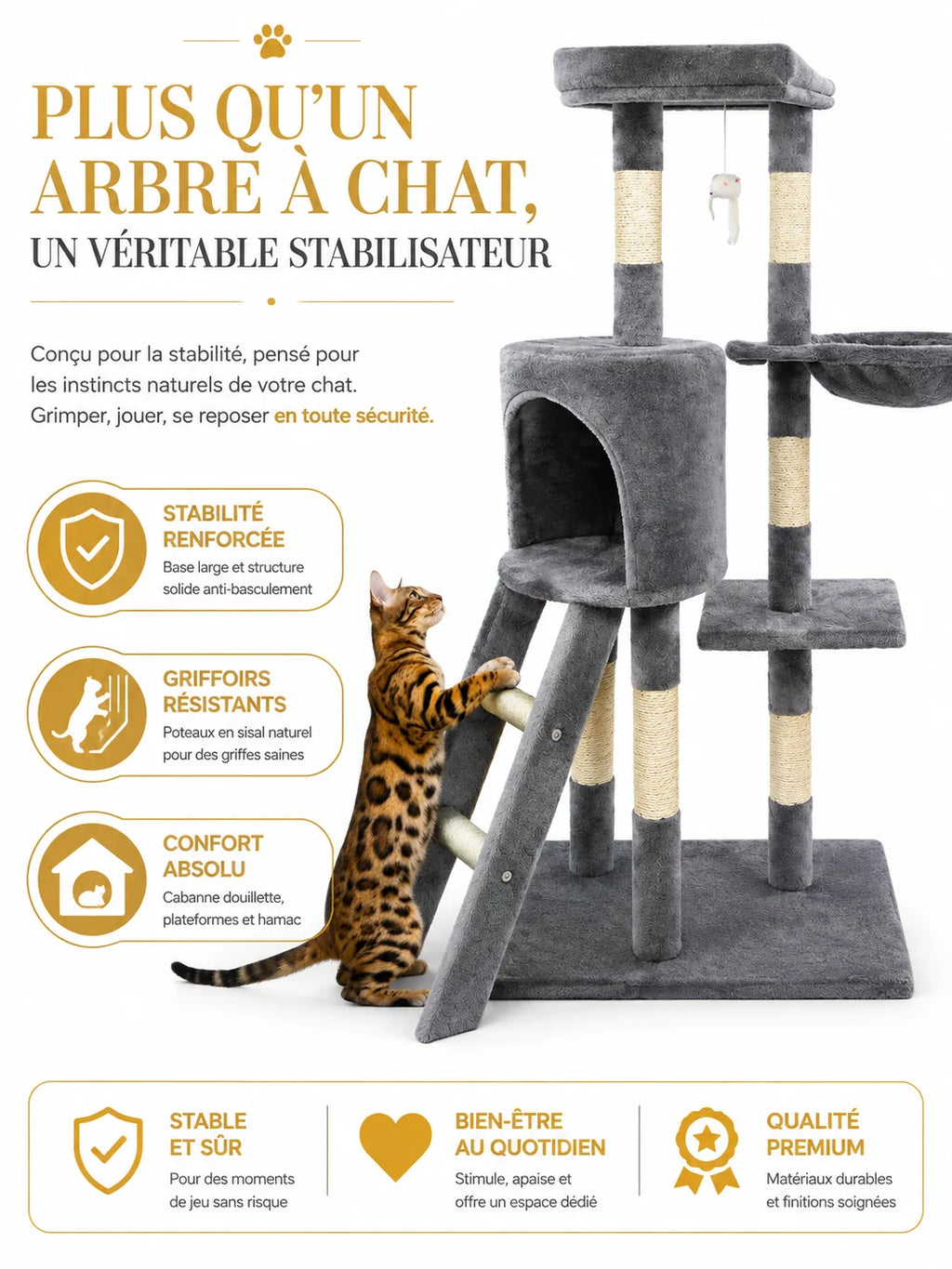 Base stable et poteaux en sisal de l'arbre à chat gris Cimestria