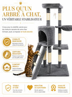 Base stable et poteaux en sisal de l'arbre à chat gris Cimestria