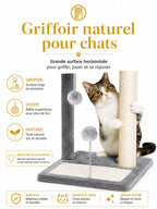 Tapis griffoir horizontal et poteau en sisal de l'arbre à chat Dorlésia