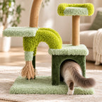 Chat entrant dans la niche de l’arbre à chat Lianésia près du pont rembourré et des zones en sisal.