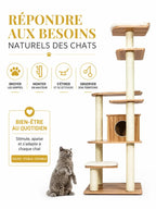 Parcours de l’arbre à chat Lignoria pour grimper, griffer et observer