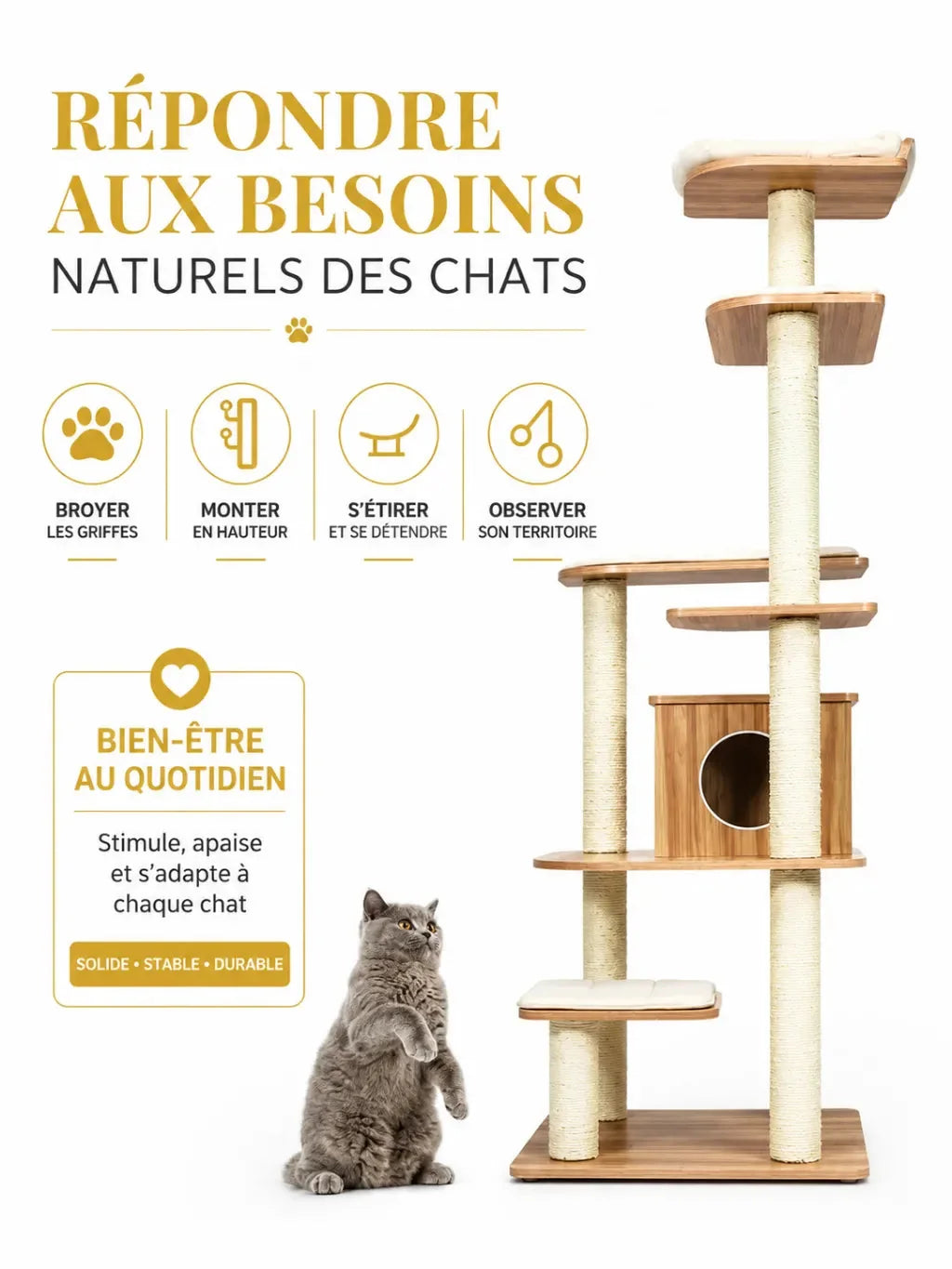 Parcours de l’arbre à chat Lignoria pour grimper, griffer et observer