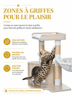 Zones de griffade en sisal de l'arbre à chat avec litière Privésia