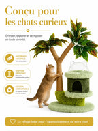 Tronc griffoir et refuge confortable de l'arbre à chat manguier Dômélia