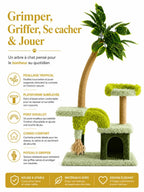 Pont, perchoir et niche de l'arbre à chat manguier Lianésia