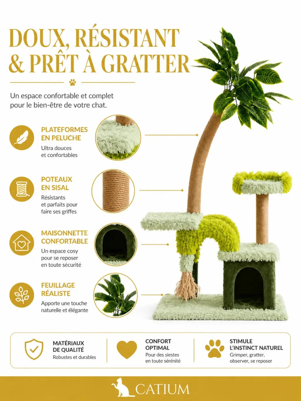 Sisal, peluche et feuillage de l'arbre à chat Lianésia