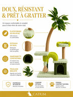 Sisal, peluche et feuillage de l'arbre à chat Lianésia