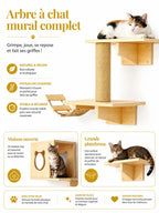 Arbre à chat mural complet Pontelia avec niche plateforme et poteau sisal