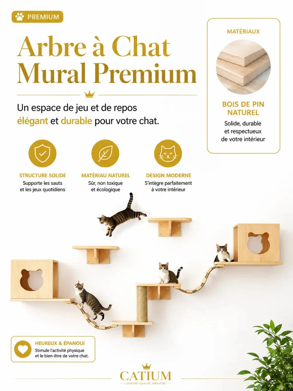 Arbre à chat mural premium Pontelia en bois de pin naturel