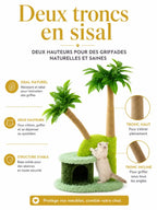 Deux troncs griffoirs en sisal, vertical et incliné, de l’arbre à chat palmier Palmélia.
