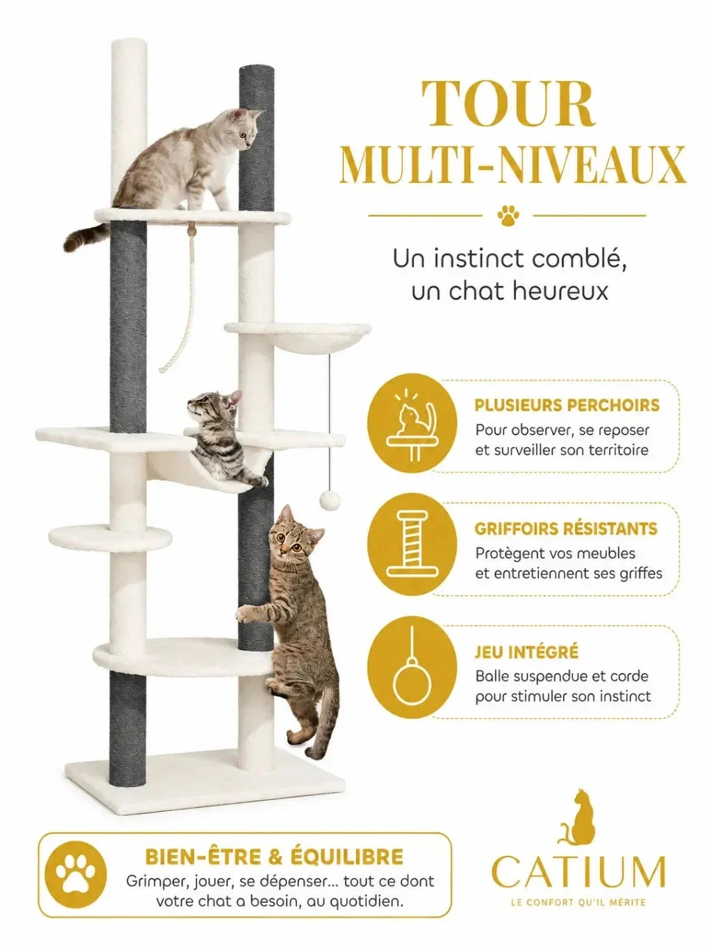Parcours multi-niveaux avec hamacs, sisal, corde et balles de l’arbre à chat plafond Célestia
