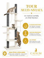 Parcours multi-niveaux avec hamacs, sisal, corde et balles de l’arbre à chat plafond Célestia