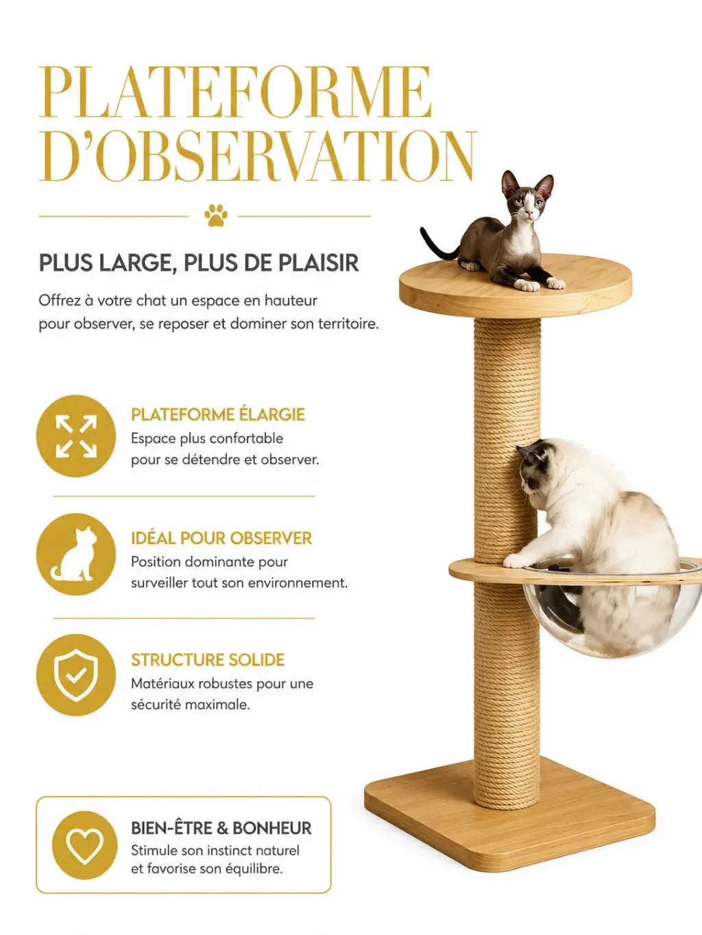 Plateformes d’observation en bois de l’arbre à chat plafond Sommélia pour grimper par étapes