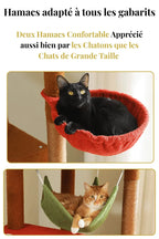 Deux hamacs pour chats de différents gabarits présentés sur l’arbre à chat Sérénya
