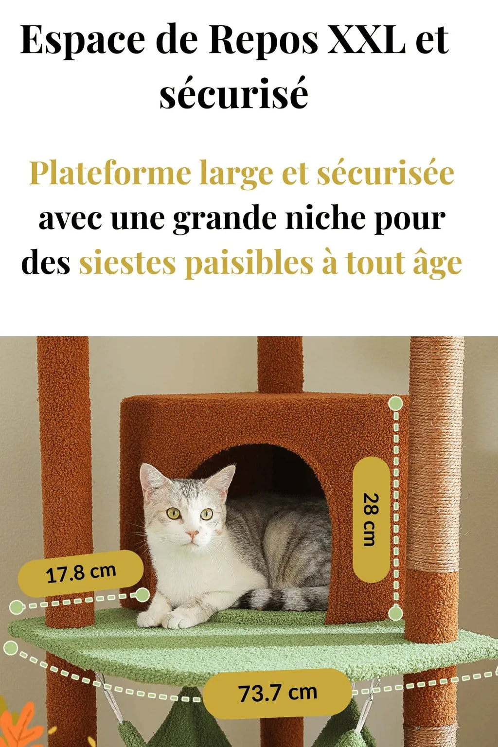 Grande niche et plateforme de 73,7 cm de l’arbre à chat Sérénya avec un chat adulte au repos