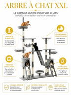 Arbre à chat XXL Noctavia avec niches, plateformes et poteaux à griffer