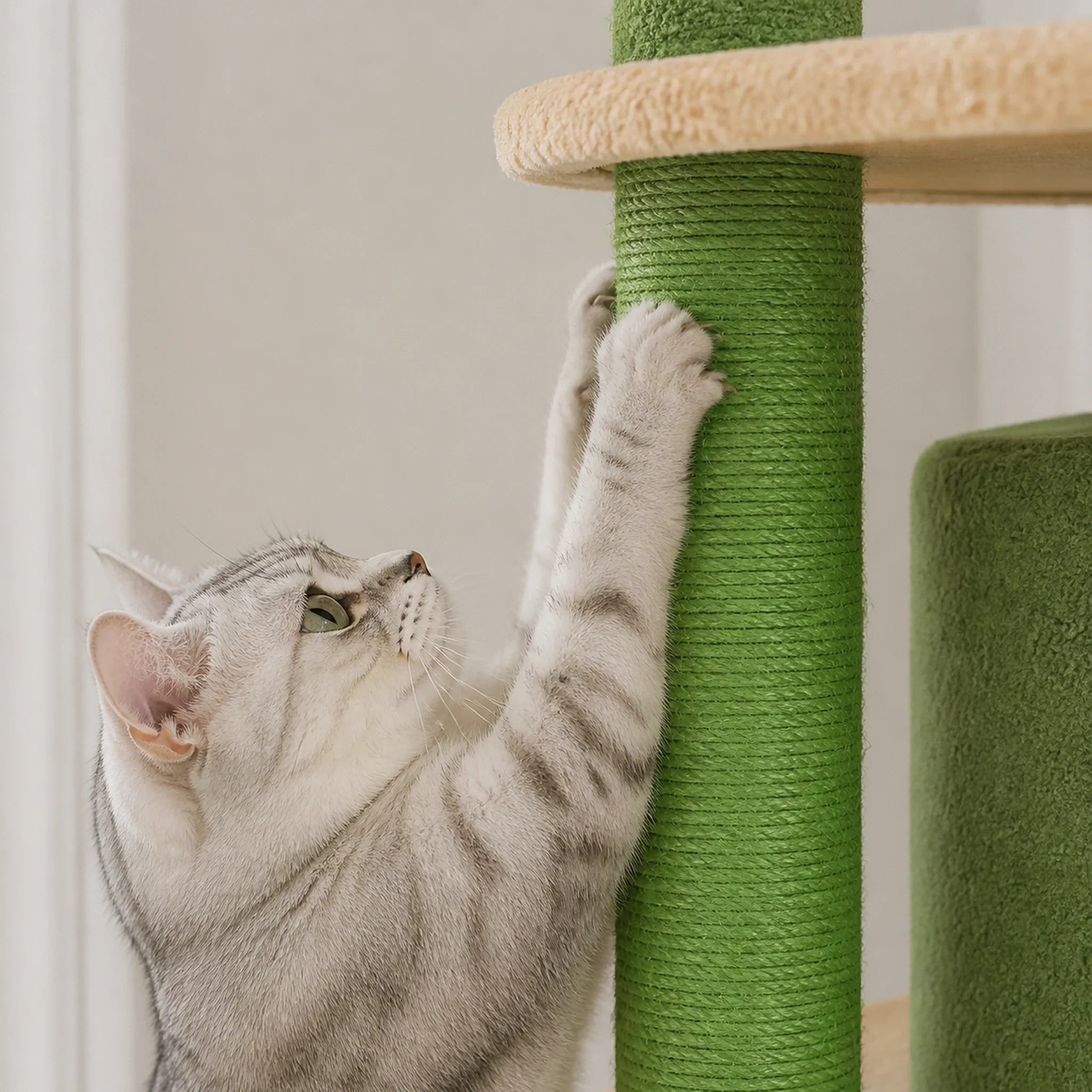 Chat utilisant un griffoir vertical en sisal vert sur l’arbre à chat XXL Verdelis