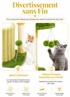 Niche fleur du petit arbre à chat Viridia avec zone de repos douce pour chat d’intérieur