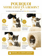 Bénéfices de l’arbre à chat mouton Moutelia avec sisal et confort