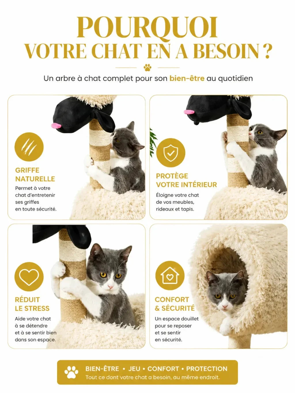 Bénéfices de l’arbre à chat mouton Moutelia avec sisal et confort