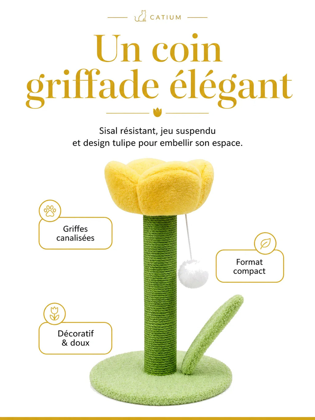 Griffoir chat tulipe jaune Tulipa avec ses avantages en image