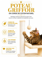 Corde de coton naturelle des poteaux de l'arbre à chat beige Doucelia