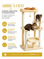 Lit haut, plateforme et nid bas de l'arbre à chat beige Doucelia