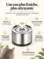 Présentation de la fontaine Florévia avec corps en inox, système de filtration et base stable.