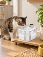Chat utilisant la fontaine blanche Ivoréa sur un support en bois dans un intérieur lumineux.