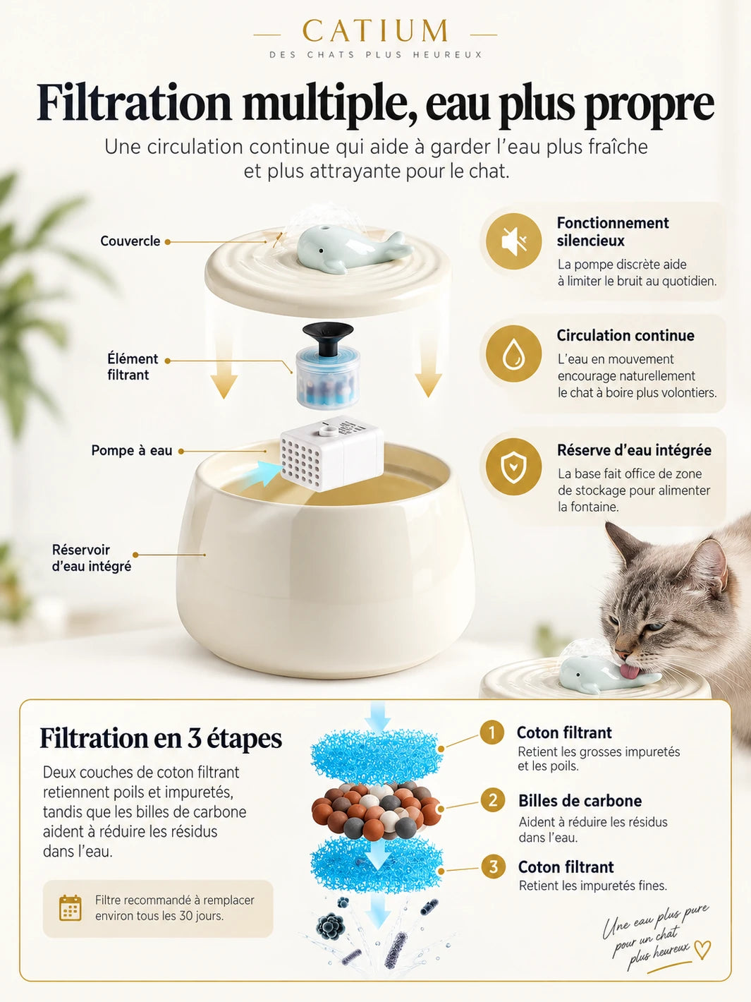 Filtration en trois étapes et circulation continue de la fontaine en céramique Élévia.