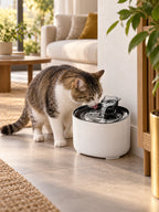 Chat buvant dans la fontaine à eau Fluvéa installée près d’un mur et d’un meuble dans un salon lumineux.