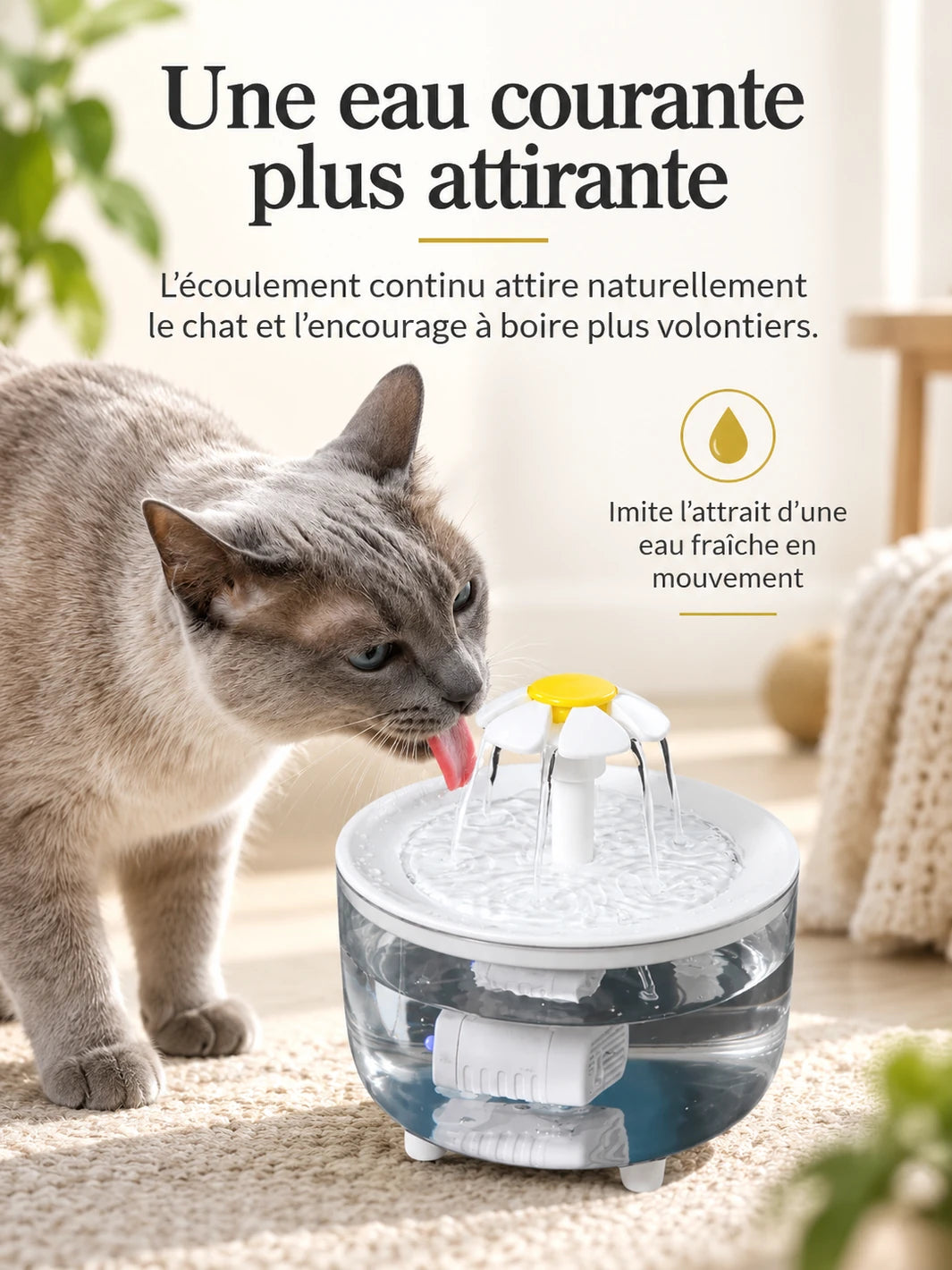 Écoulement par jets multiples permettant au chat d’approcher la fontaine Graphéa de plusieurs côtés.