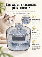 Présentation du flux continu, du bec verseur et de la zone de boisson supérieure de la fontaine Noctéa.