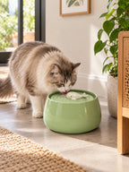Chat buvant dans la fontaine en céramique verte Verdélia installée au sol près d’un meuble en bois.