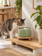 Chat buvant dans la fontaine en céramique verte Virdora installée sur son socle en bois près d’un meuble.
