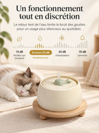 Fontaine Virdora fonctionnant autour de 25 dB sur son socle en bois près d’un chat endormi.