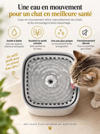 Chat buvant sur la surface d’eau en mouvement de la fontaine compacte Jadélia.