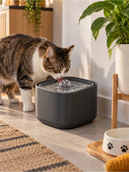 Chat buvant dans la fontaine à eau noire Ébénia installée dans un coin repas intérieur.