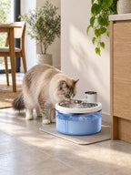 Chat buvant dans la fontaine transparente Vigéria installée dans un coin repas lumineux.