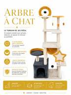 Jouets étoilés et zones de jeu du grand arbre à chat 160 cm Stelloria