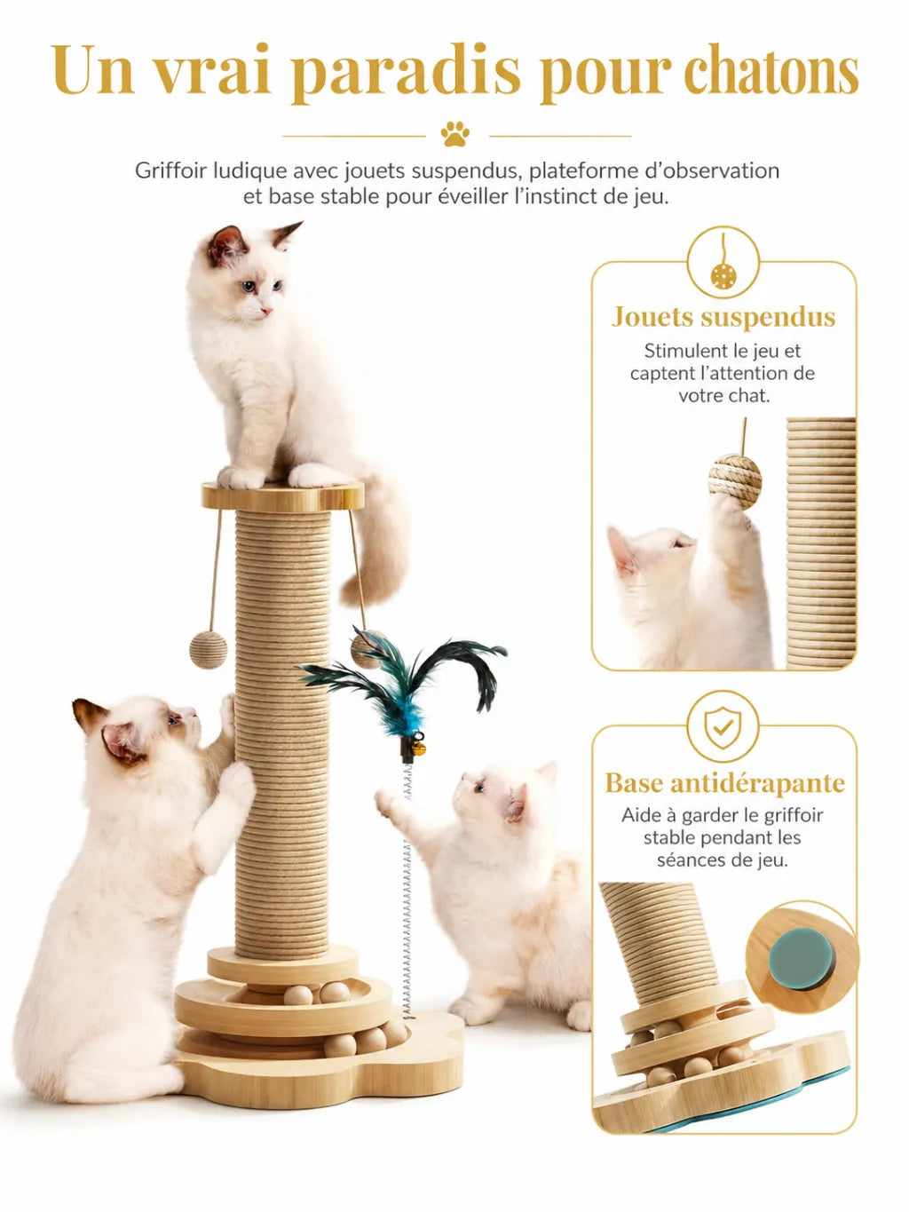 Griffoir Rondia pour chatons avec plateforme d’observation, jouets suspendus et base antidérapante