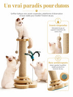 Griffoir Rondia pour chatons avec plateforme d’observation, jouets suspendus et base antidérapante