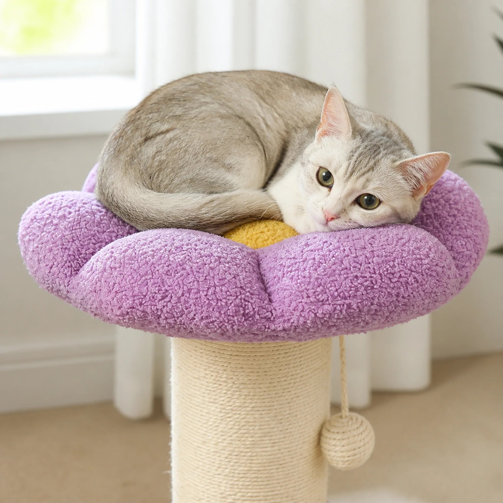 Chat reposant sur le couchage fleur violet amovible du griffoir pour chat Floréa