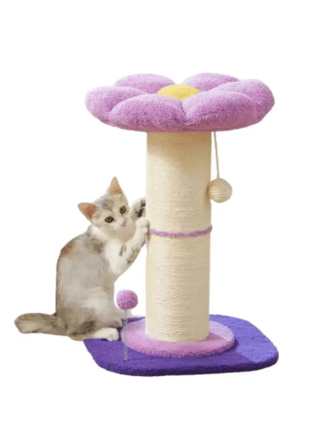Griffoir fleur pour chat violet Floréa avec double poteau en sisal, couchage moelleux et deux jouets