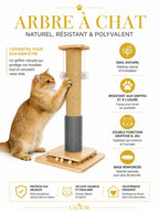 Sisal naturel, base renforcée et jeux du griffoir pour chat Griffélis