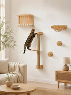 Parcours mural pour chat Climoria installé dans un salon