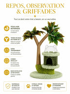 Dôme transparent, niche cylindrique et tronc griffoir en sisal du petit arbre à chat Dômélia.